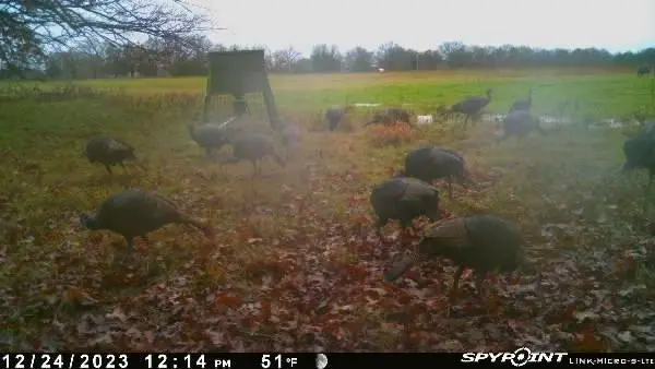 240 Magnolia, Bennington, OK 74723