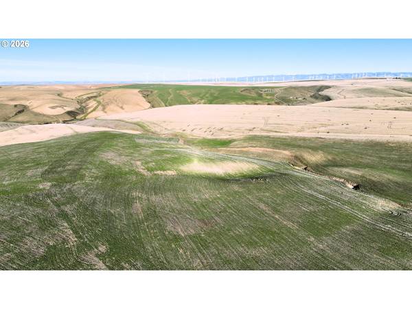 South Juniper Canyon, Helix, OR 97835