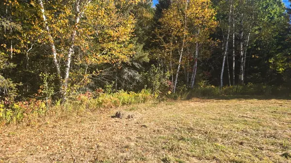 Pt LT 1 CON 13 Trappers RD, Chisholm, ON P0H 1Z0