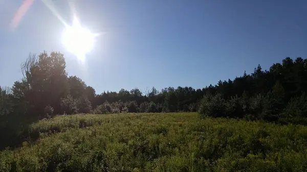 1211 A. Guy Wilson RD, Carlow/mayo, ON K0L 1C0