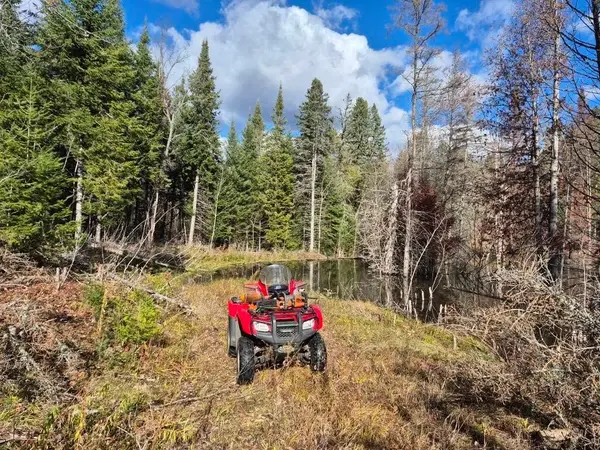 1211 A. Guy Wilson RD, Carlow/mayo, ON K0L 1C0