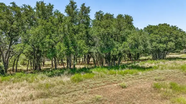 TBD PR 1272, Carlton, TX 76436
