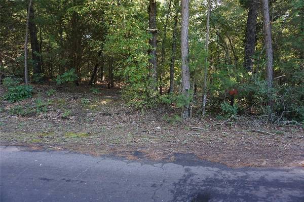 TBD County Road 3847, Hawkins, TX 75765