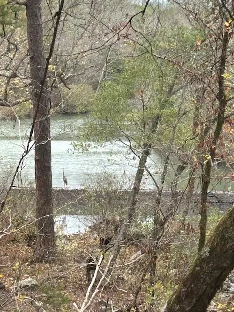 TBD JOSEE'S JOURNEY, Nashoba, OK 74558