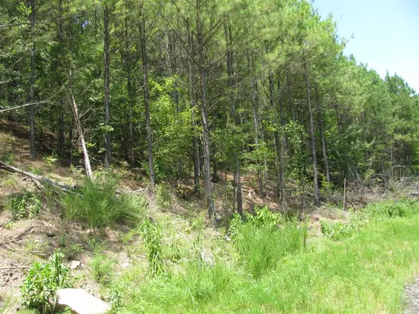 TBD JOSEE'S JOURNEY, Nashoba, OK 74558