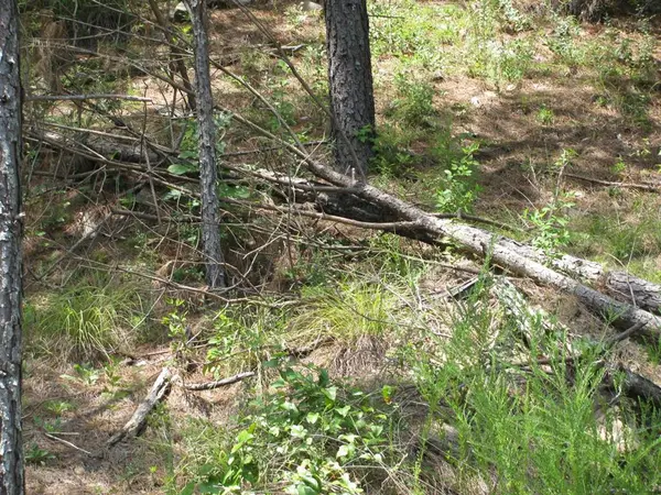 TBD JOSEE'S JOURNEY, Nashoba, OK 74558