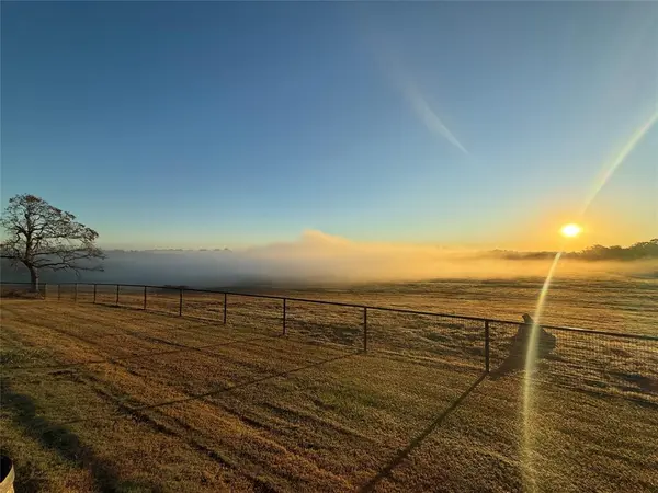 3222 FM 1254, Mineola, TX 75773