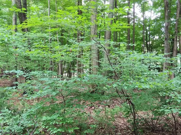 208 Highland Ave, Hampton Twp., NJ 07860