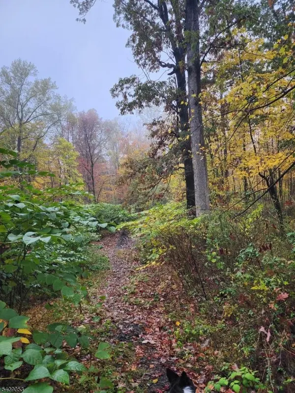 54 Ridge Road, East Amwell Twp., NJ 08525