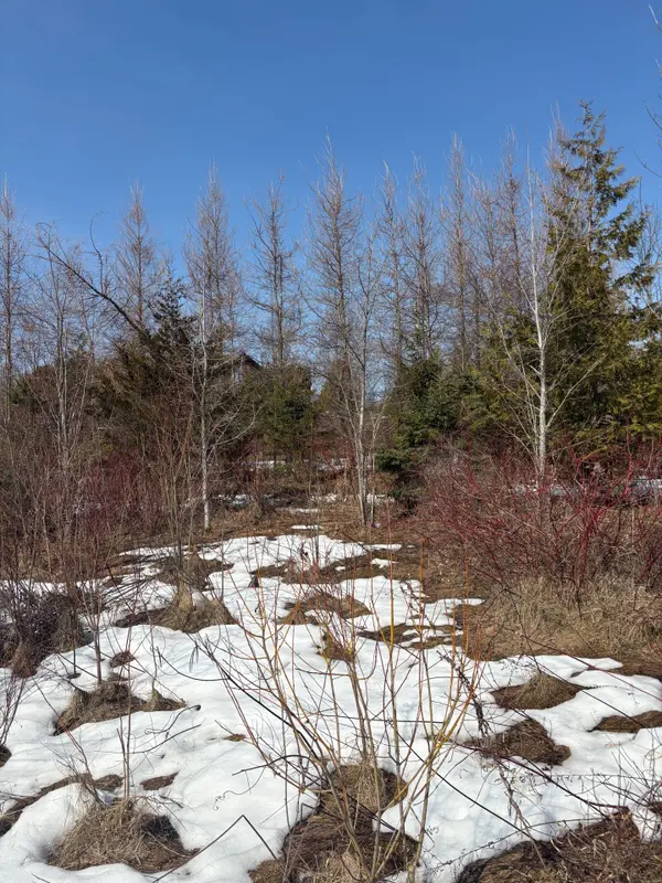 5 Pollock RD, Trent Hills, ON K0K 3K0