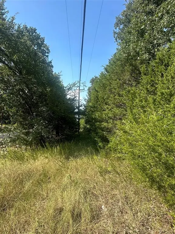 Lots 106-109 PR 3837, Quinlan, TX 75474