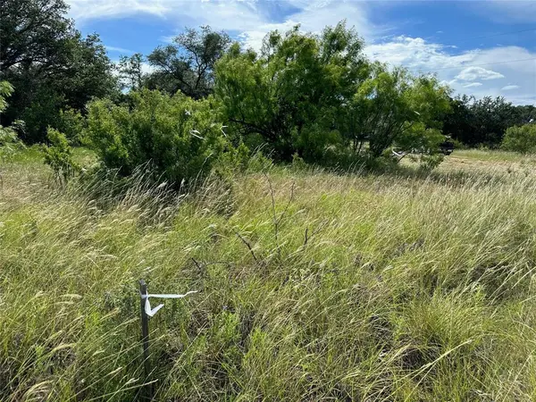 863 Pitchpole Circle, Brownwood, TX 76801