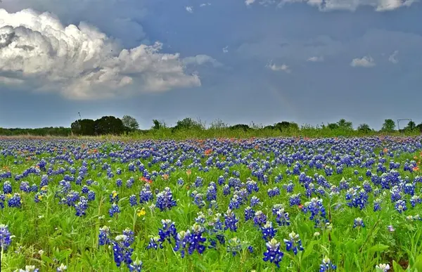 1500 County Road 2850, Kopperl, TX 76652