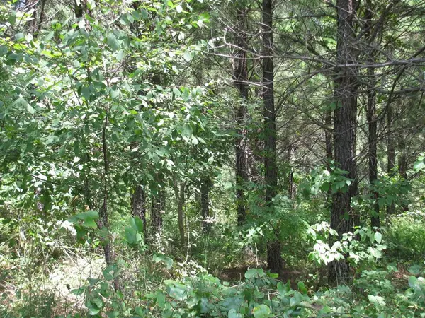 TBD Jace's Trail, Nashoba, OK 74558
