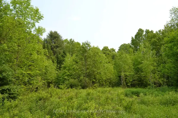 1527 Madill RD, Highlands East, ON K0M 1R0