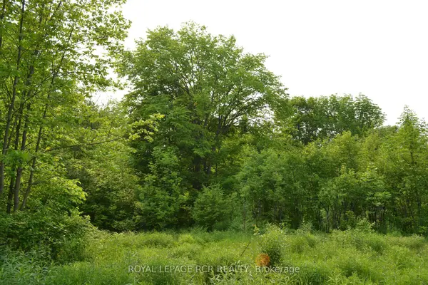 1527 Madill RD, Highlands East, ON K0M 1R0