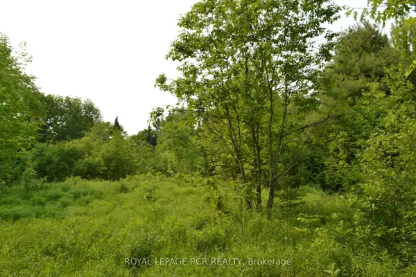 1527 Madill RD, Highlands East, ON K0M 1R0