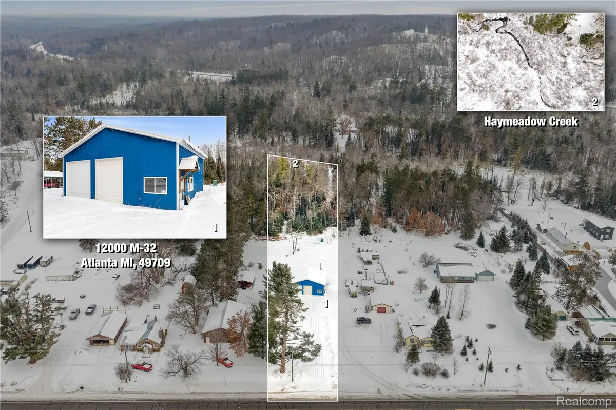 12000 M-32, Briley Township, MI 49709