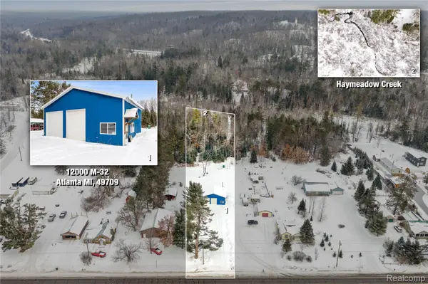 12000 M-32, Briley Township, MI 49709