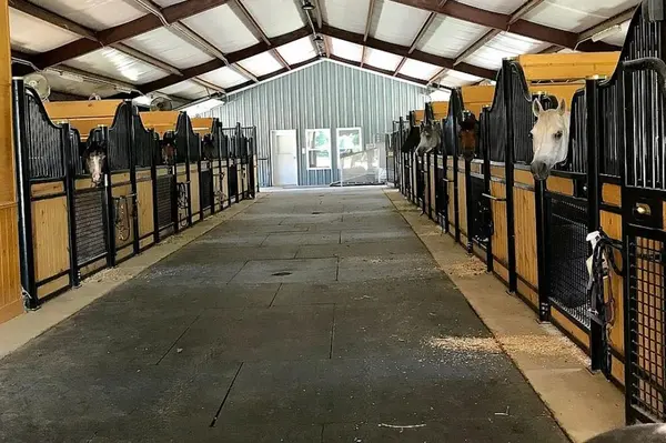 11217 Foutch Road, Pilot Point, TX 76258