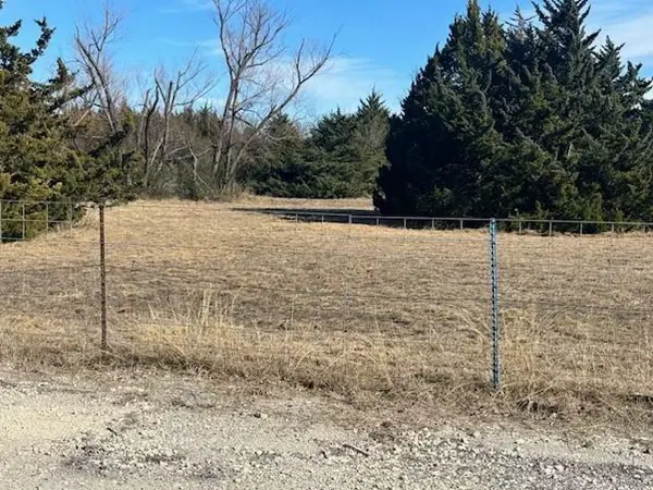 13300 Cedarview Lane, Anna, TX 75409