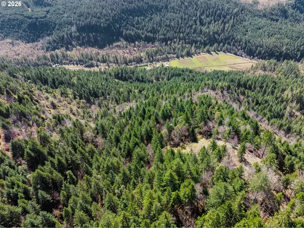 Glide, OR 97443,14536 LITTLE RIVER RD