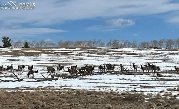 20400 Highway 285, Fairplay, CO 80440