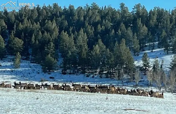 20400 Highway 285, Fairplay, CO 80440