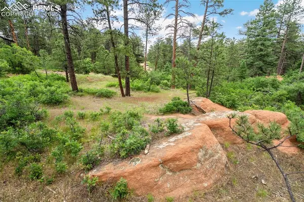 4580 Delaware DR, Larkspur, CO 80118