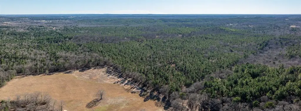 TBD State Highway 64, Ben Wheeler, TX 75754