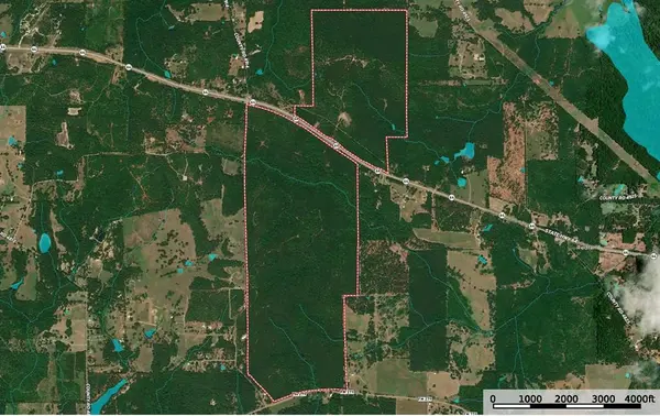 TBD State Highway 64, Ben Wheeler, TX 75754