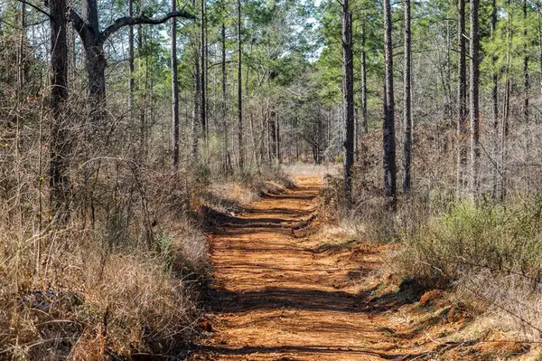 TBD State Highway 64, Ben Wheeler, TX 75754