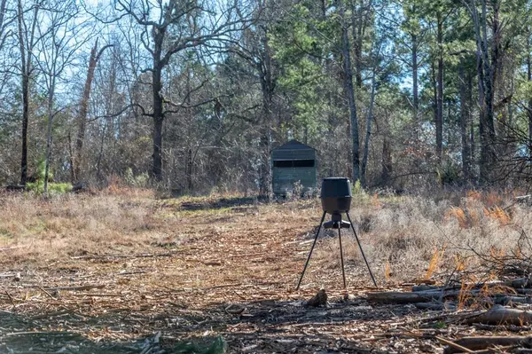 TBD State Highway 64, Ben Wheeler, TX 75754