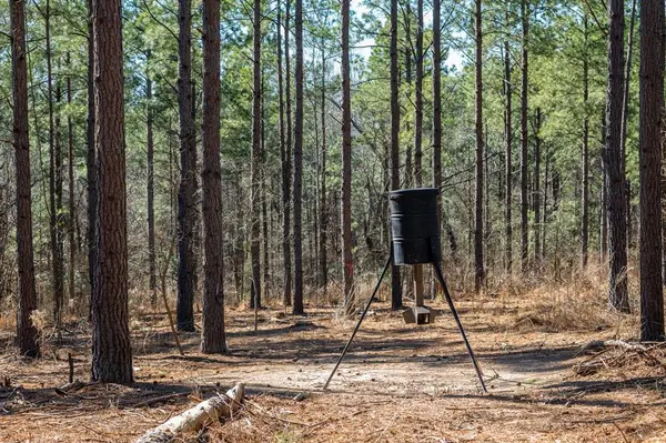 TBD State Highway 64, Ben Wheeler, TX 75754