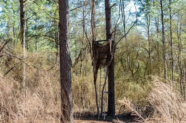 TBD State Highway 64, Ben Wheeler, TX 75754