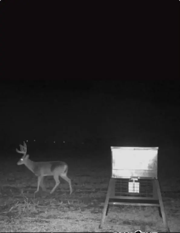 Tract 4, TBD County Road 3204, Abbott, TX 76621