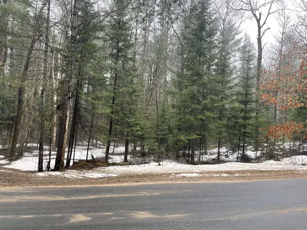 0 Dwight Beach RD, Lake Of Bays, ON P0A 1H0