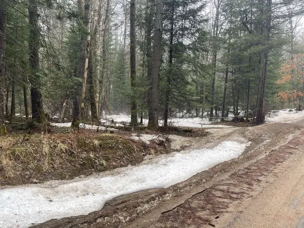 0 Dwight Beach RD, Lake Of Bays, ON P0A 1H0