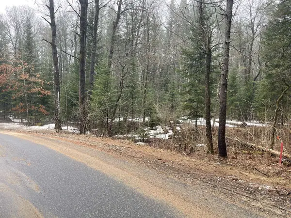 0 Dwight Beach RD, Lake Of Bays, ON P0A 1H0