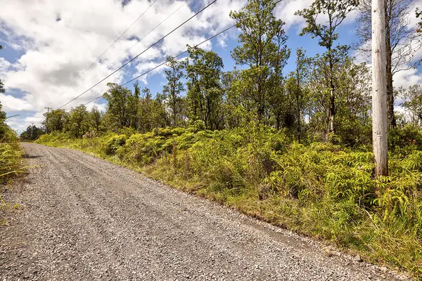 11-2074 OMEKA RD, Volcano, HI 96785