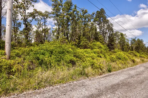 11-2074 OMEKA RD, Volcano, HI 96785