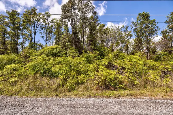 11-2074 OMEKA RD, Volcano, HI 96785