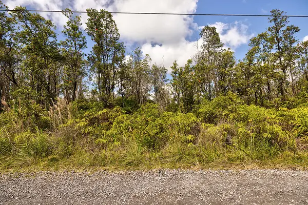 11-2080 OMEKA RD, Volcano, HI 96785