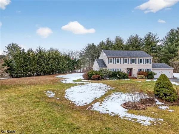 5 Fisher Ct, East Amwell Twp., NJ 08551