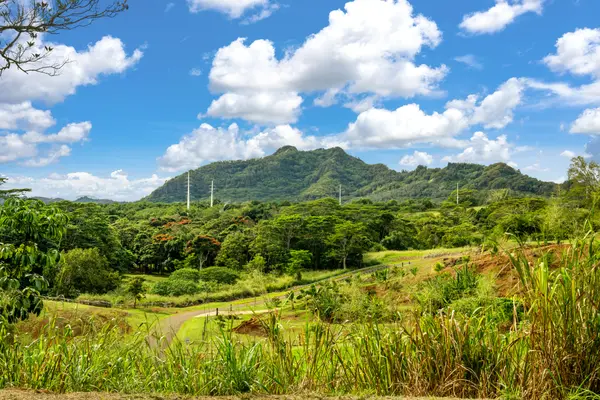 KANA ST #Unit 10B, Kapaa, HI 96746