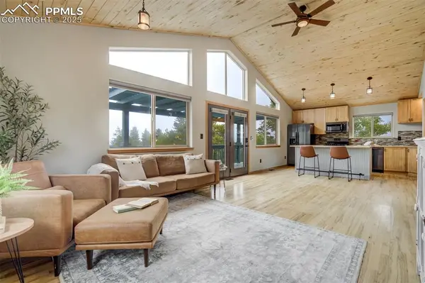 163 Big Horn LN, Florissant, CO 80816