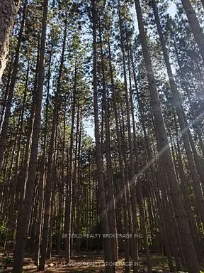 97 Tranquility Bay DR, Bonnechere Valley, ON K0J 2A0