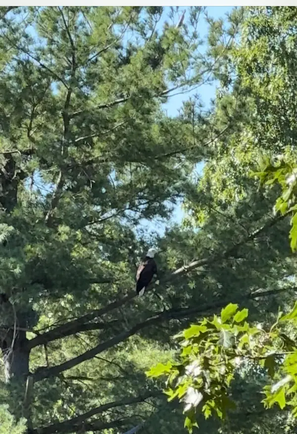 5472 S Meridian RD, Summit Twp, MI 49201