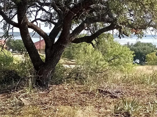 lots 53-54 Janda Lane, Brownwood, TX 76801