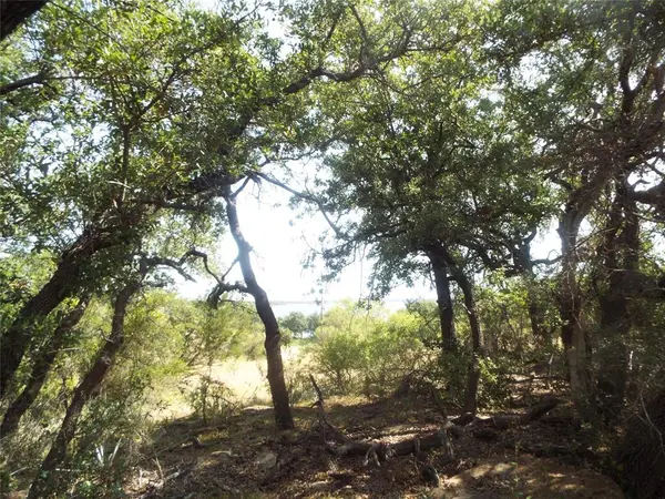 lots 53-54 Janda Lane, Brownwood, TX 76801